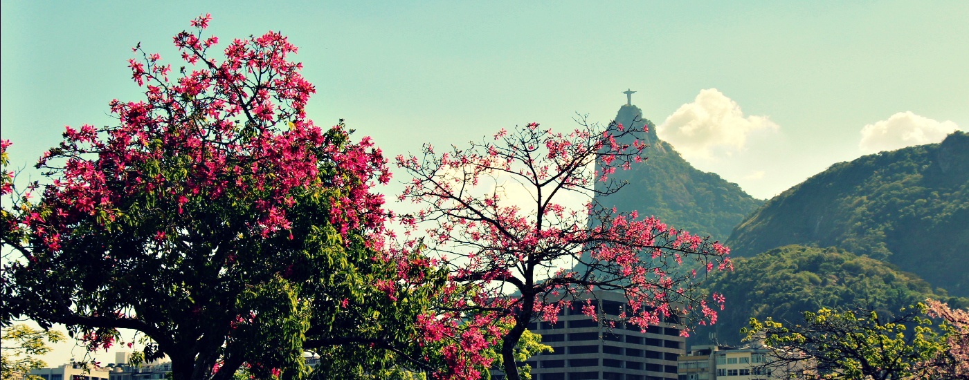 Rio de Janeiro, Brasilien, Cristo Redentor, Jesusstatue, Foto: Greta Hamann